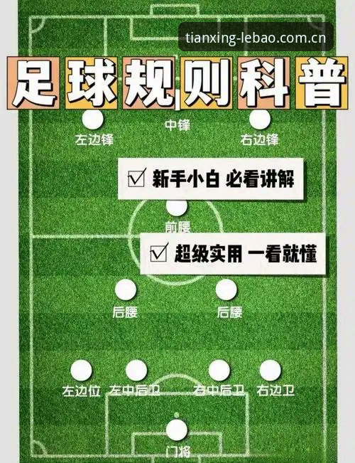 中国足球反腐风暴下，球迷必备的赛事观察与平台安全指南