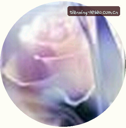 吴鹏